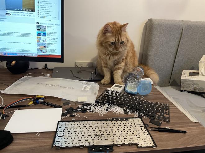 Extracting the TrackPoint from a Lenovo Keyboard